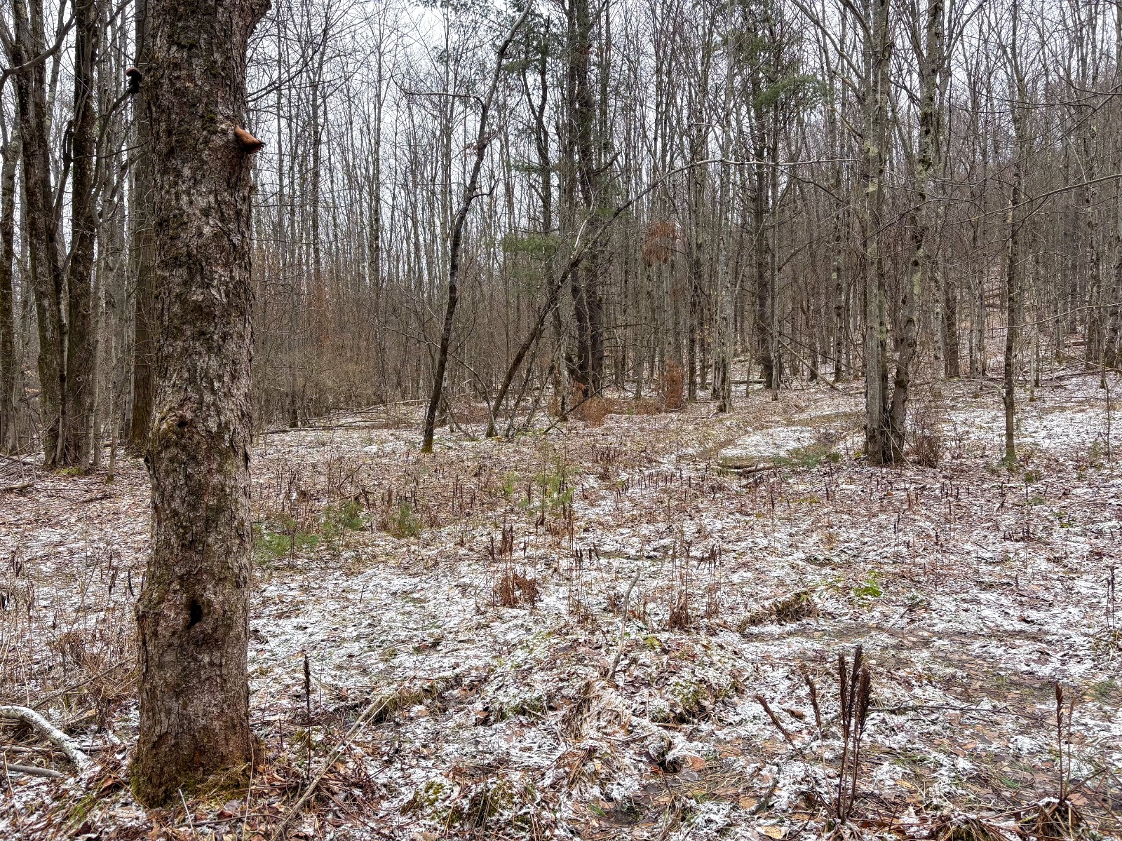 #13 photo, 154 Walker Rd, Nineveh , NY 13813