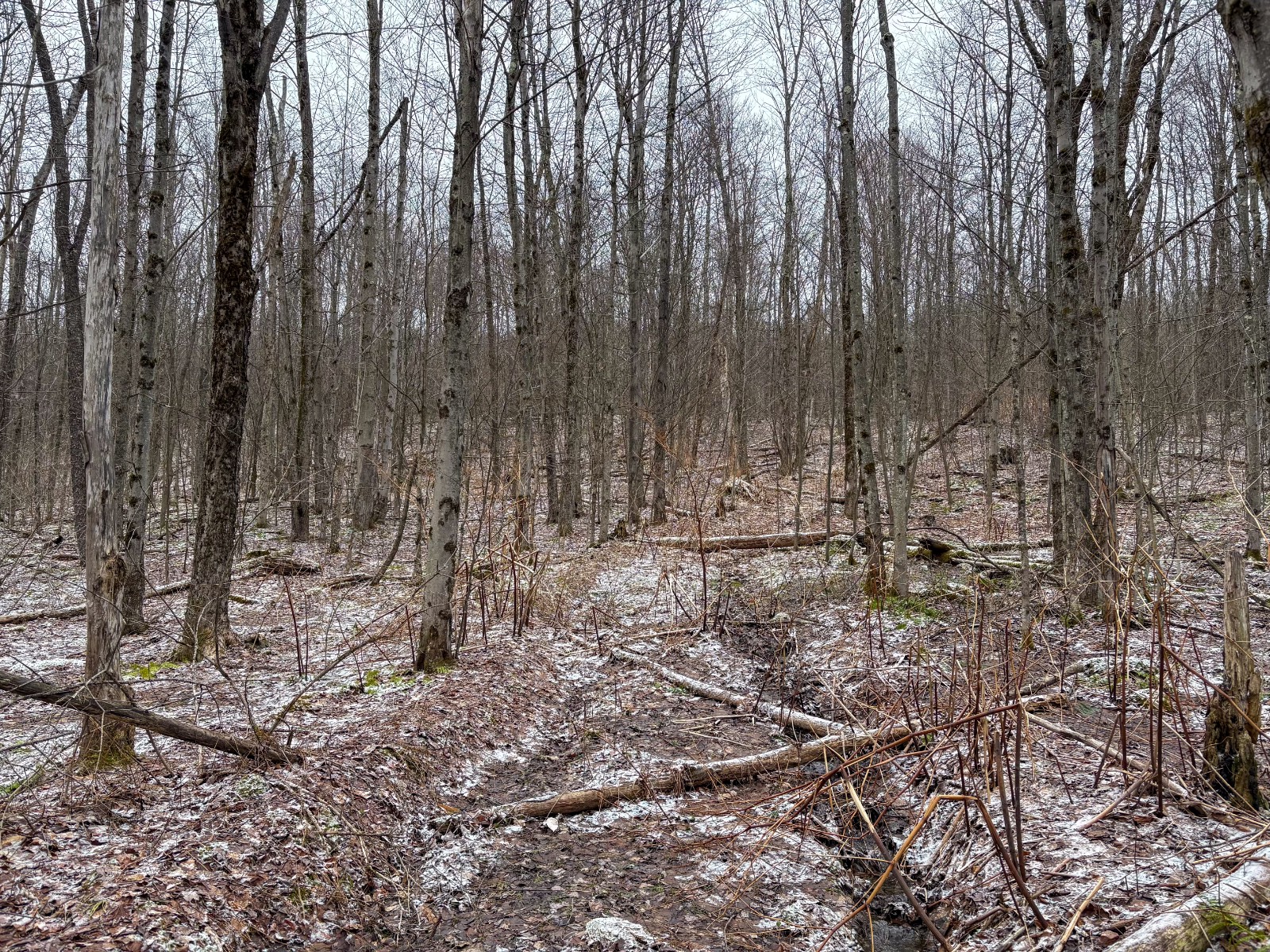 #15 photo, 154 Walker Rd, Nineveh , NY 13813