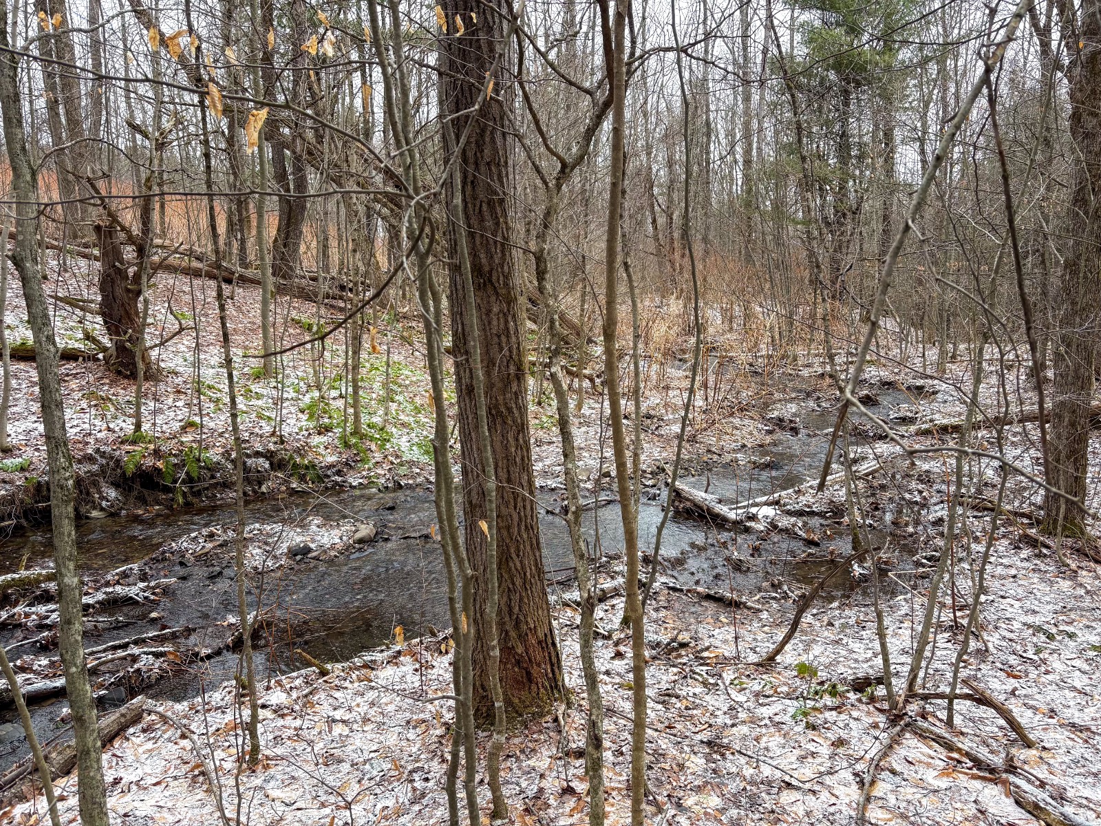 #16 photo, 154 Walker Rd, Nineveh , NY 13813