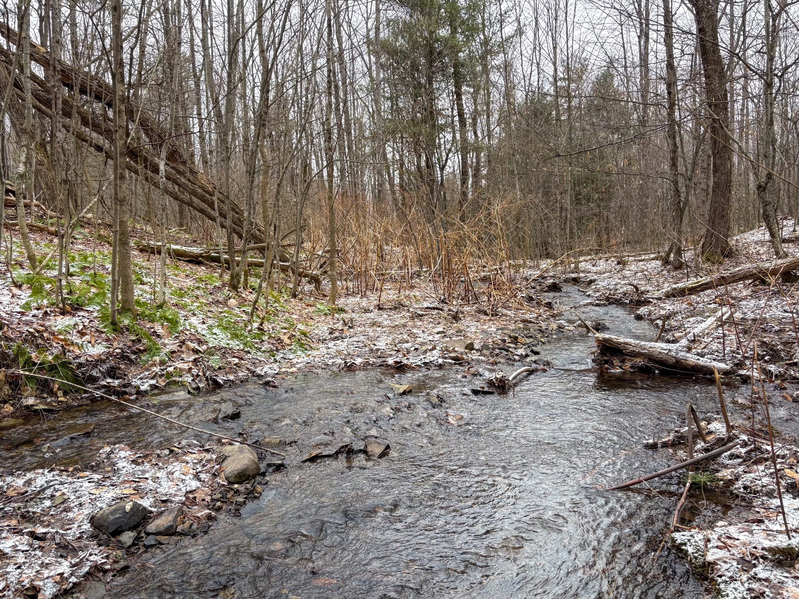 #17 photo, 154 Walker Rd, Nineveh , NY 13813