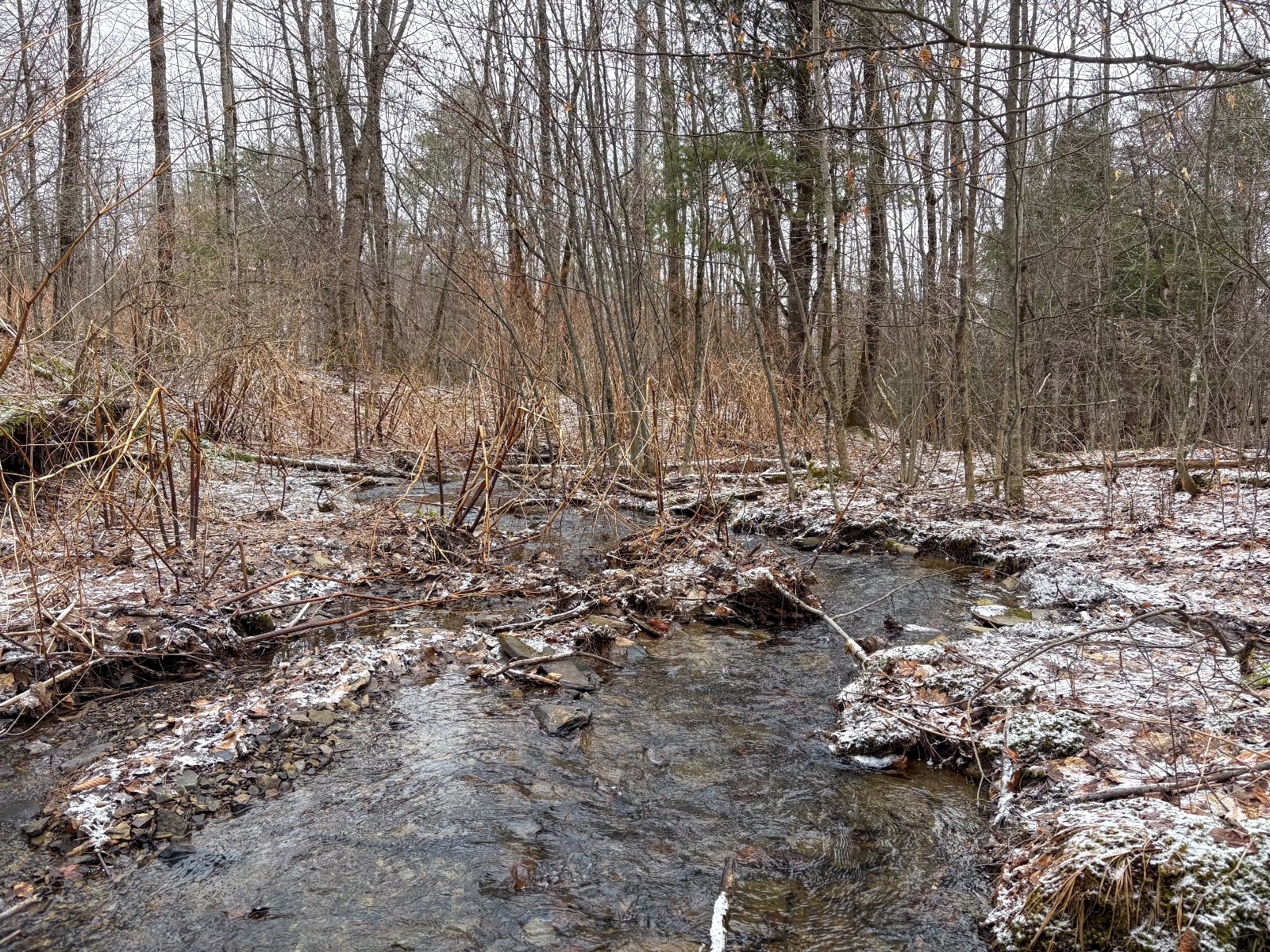 #18 photo, 154 Walker Rd, Nineveh , NY 13813