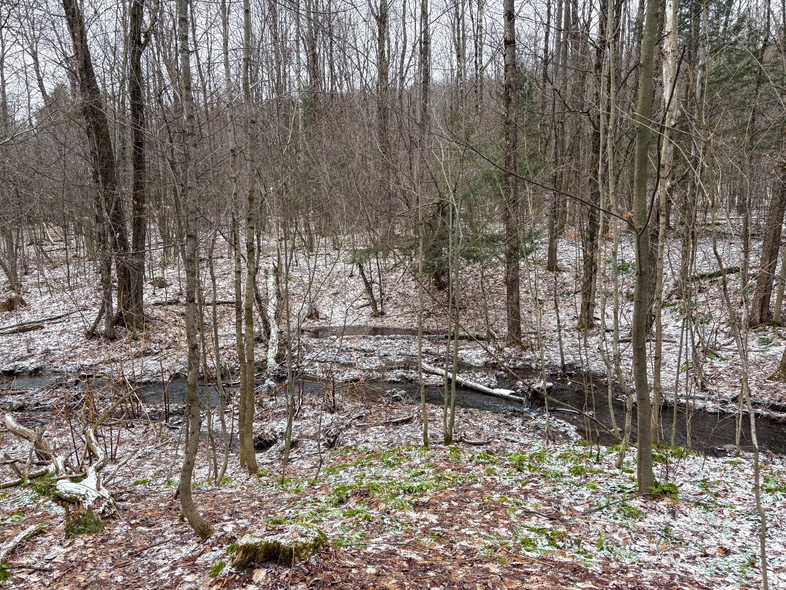 #19 photo, 154 Walker Rd, Nineveh , NY 13813