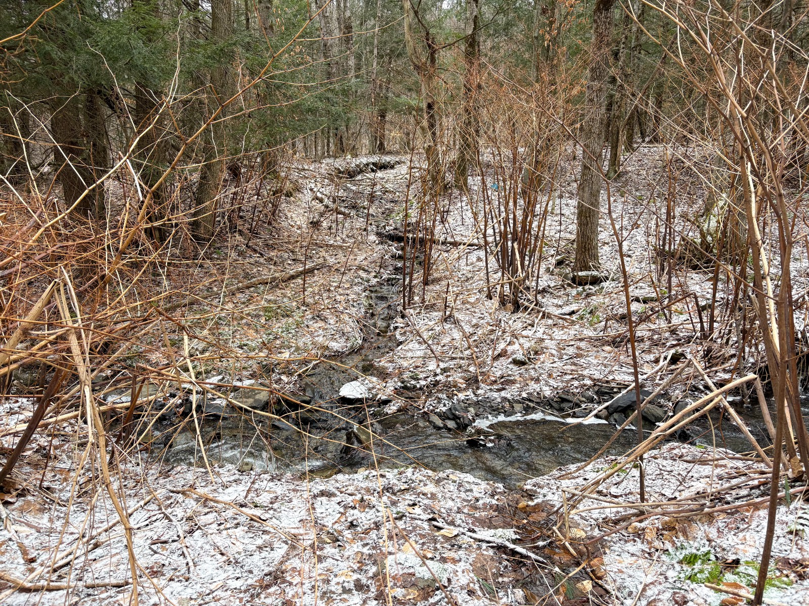 #2 photo, 154 Walker Rd, Nineveh , NY 13813