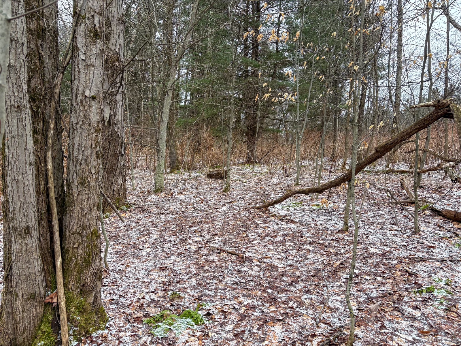 #20 photo, 154 Walker Rd, Nineveh , NY 13813