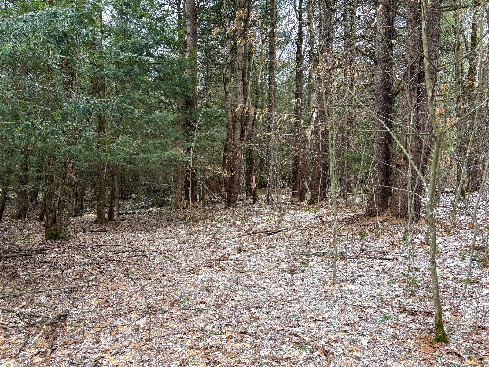 #21 photo, 154 Walker Rd, Nineveh , NY 13813