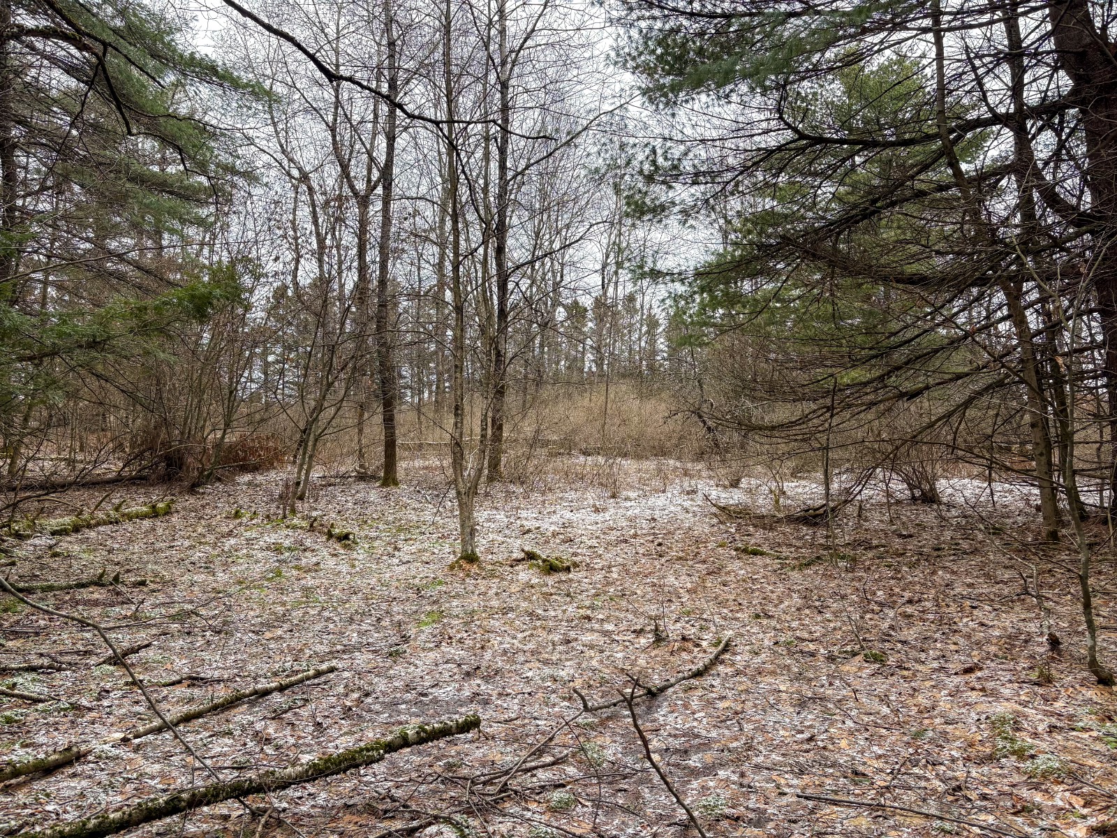 #22 photo, 154 Walker Rd, Nineveh , NY 13813