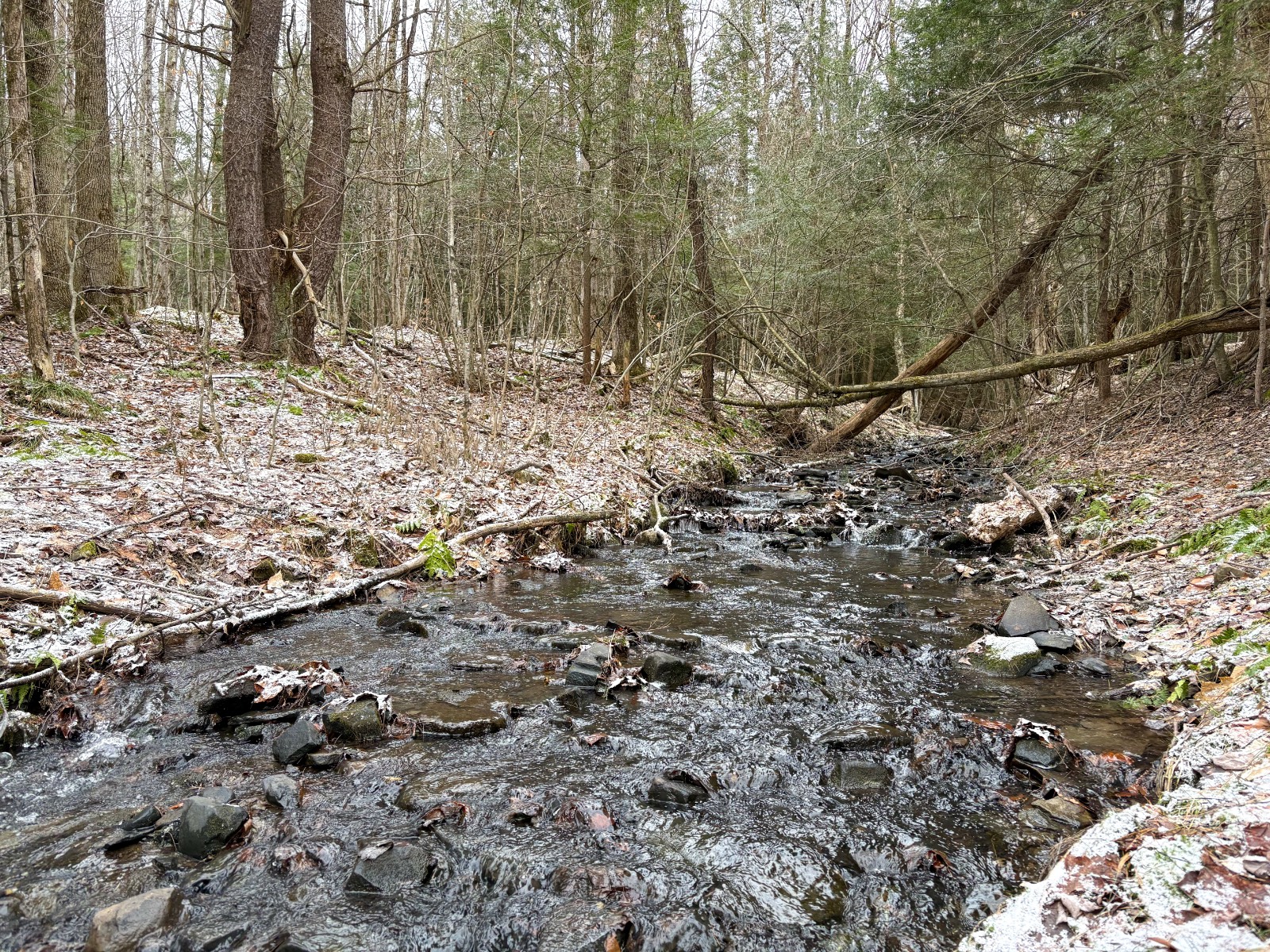 #3 photo, 154 Walker Rd, Nineveh , NY 13813