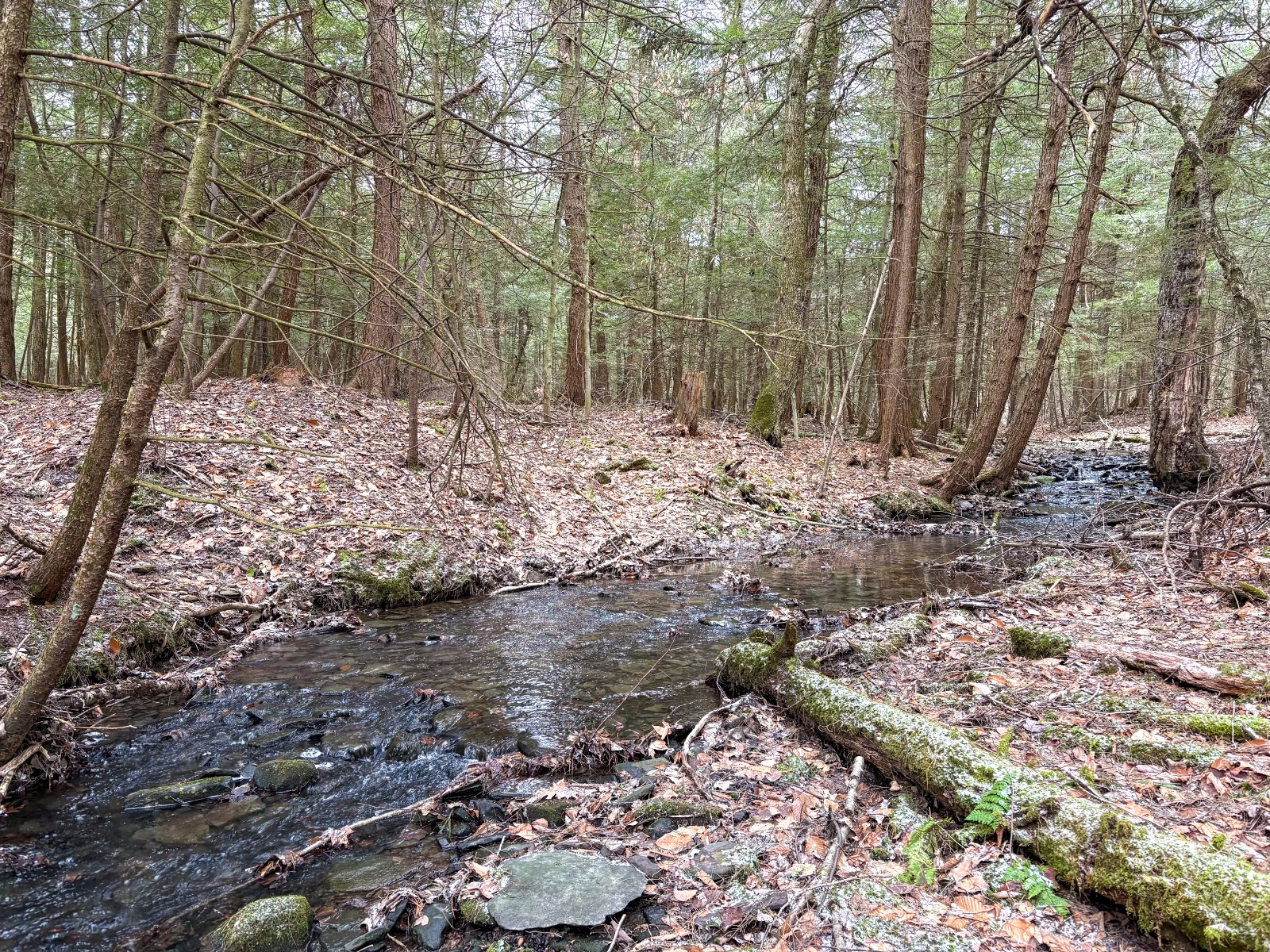 #4 photo, 154 Walker Rd, Nineveh , NY 13813