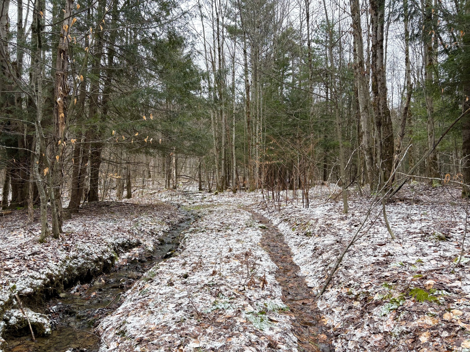 #5 photo, 154 Walker Rd, Nineveh , NY 13813