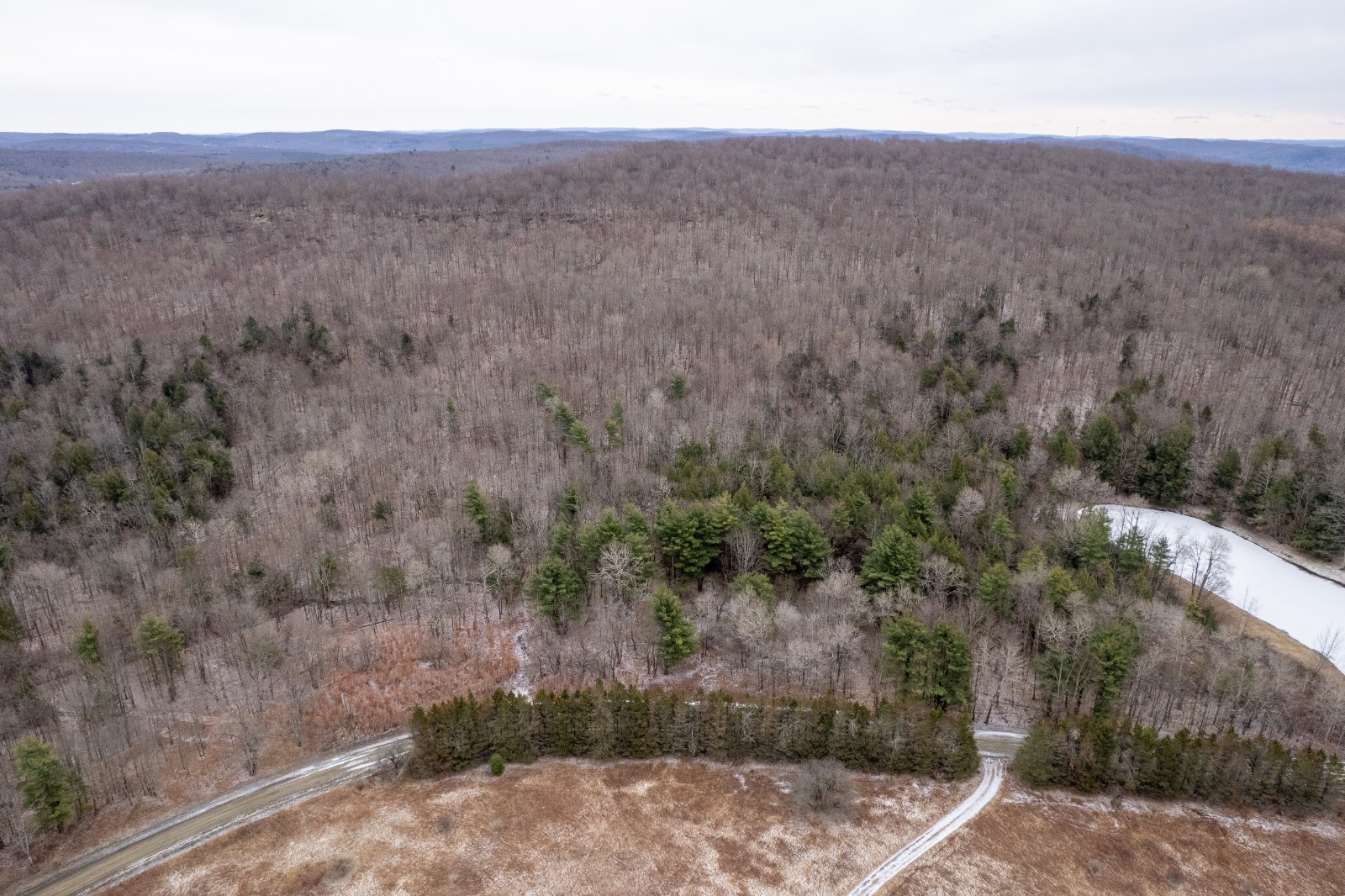 #6 photo, 154 Walker Rd, Nineveh , NY 13813