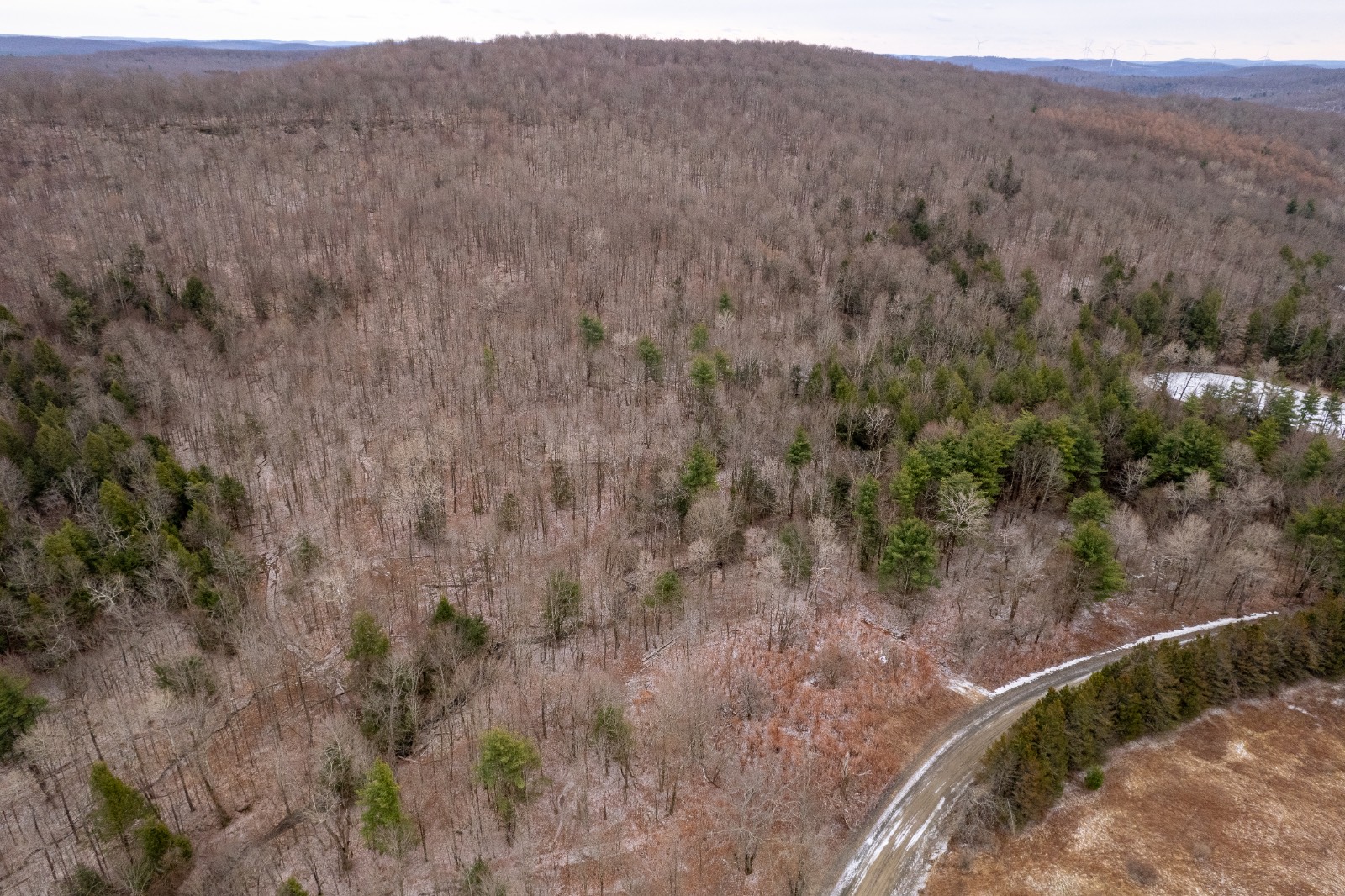 #8 photo, 154 Walker Rd, Nineveh , NY 13813