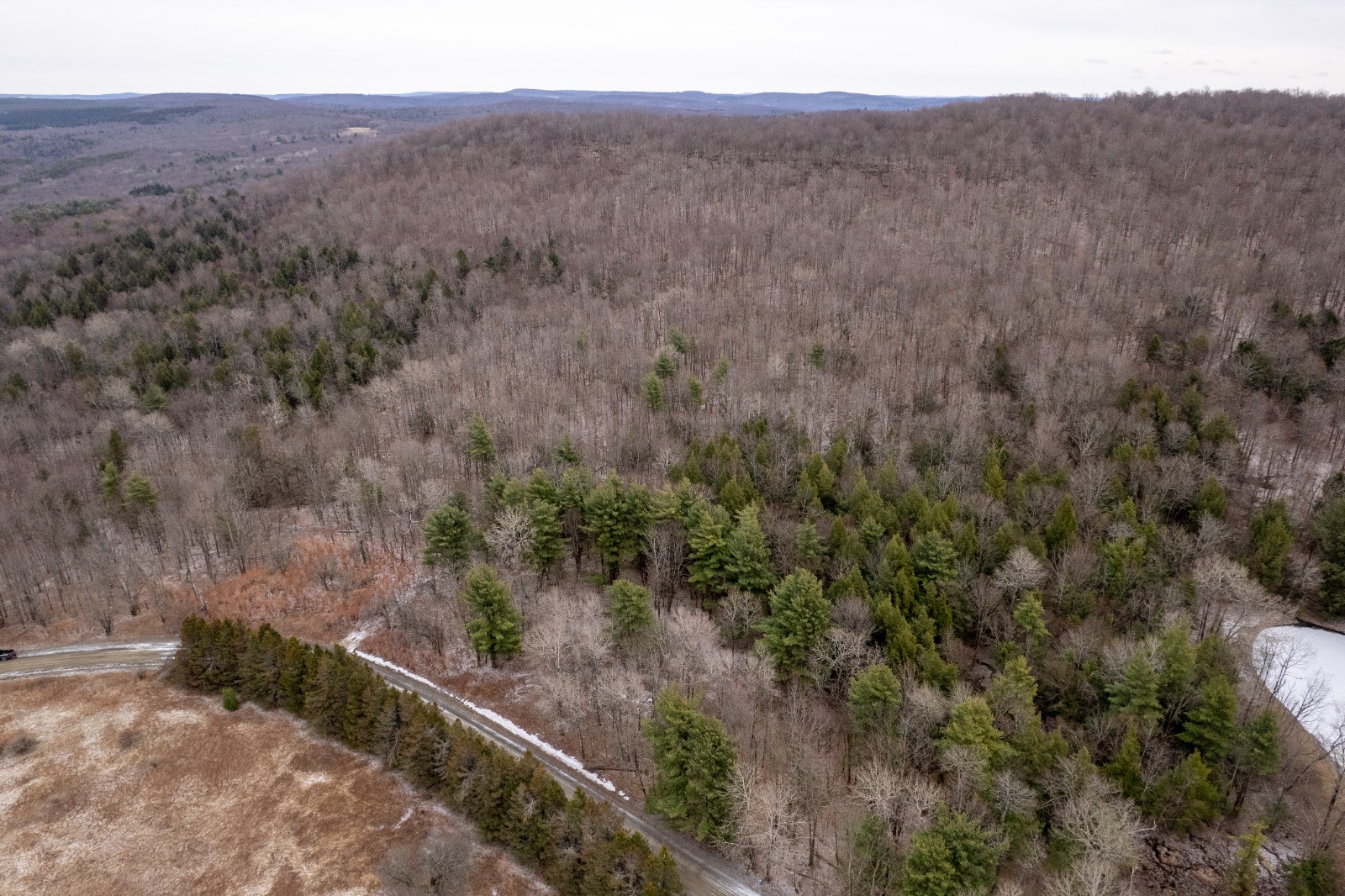 #9 photo, 154 Walker Rd, Nineveh , NY 13813