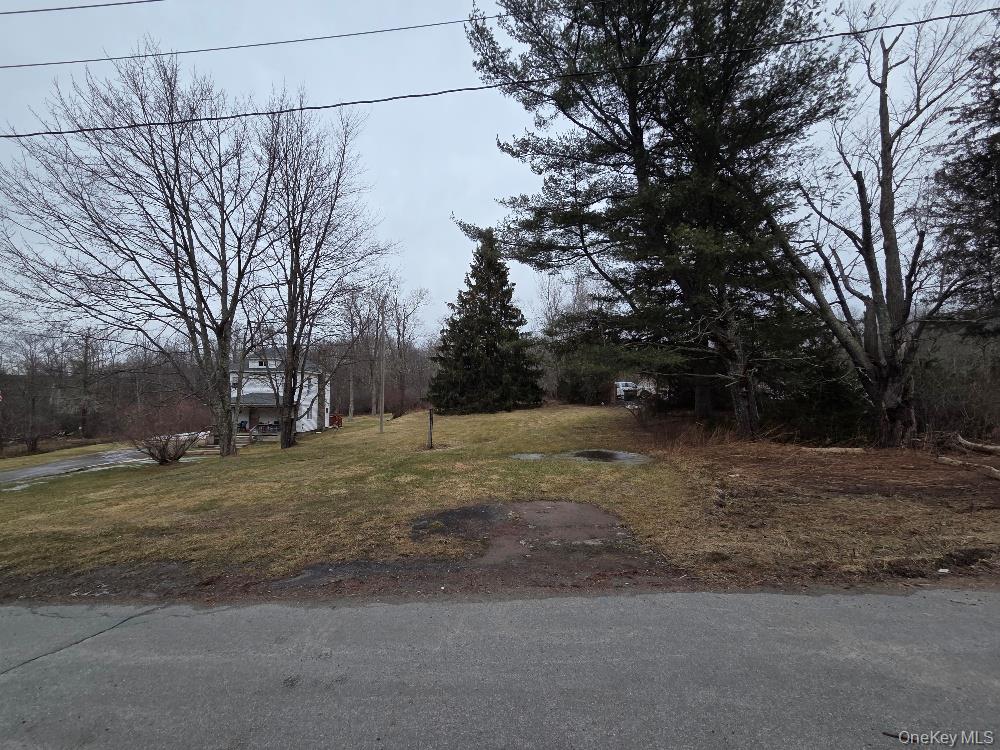 #1 photo, TBD State Route 52, White Sulphur Spring , NY 12787