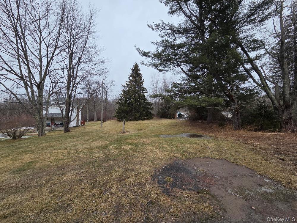 #2 photo, TBD State Route 52, White Sulphur Spring , NY 12787