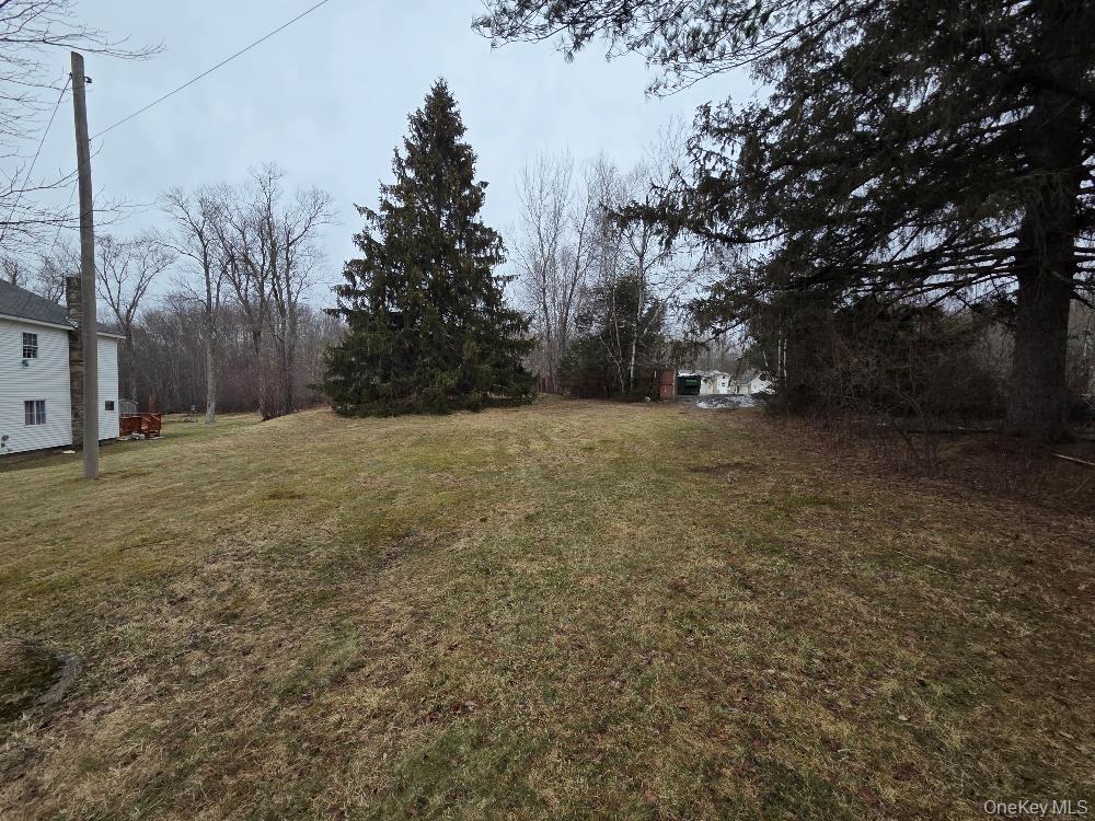 #3 photo, TBD State Route 52, White Sulphur Spring , NY 12787