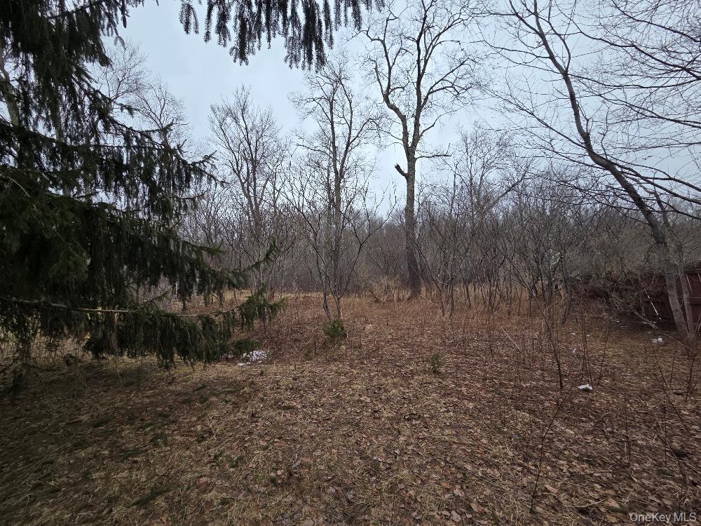 #4 photo, TBD State Route 52, White Sulphur Spring , NY 12787