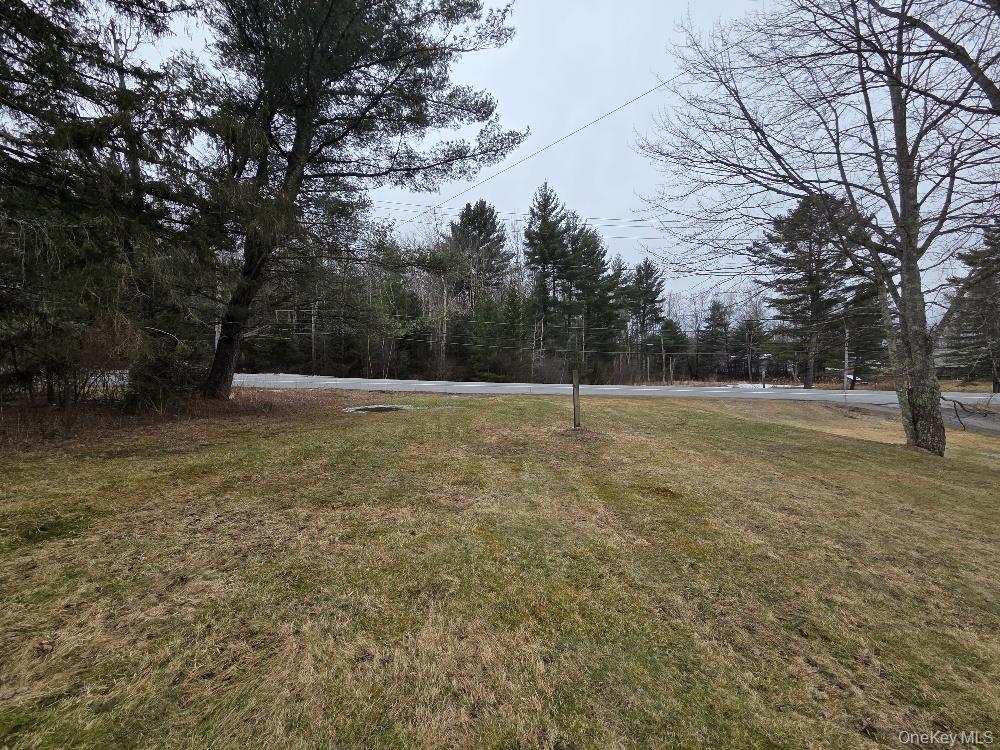 #5 photo, TBD State Route 52, White Sulphur Spring , NY 12787