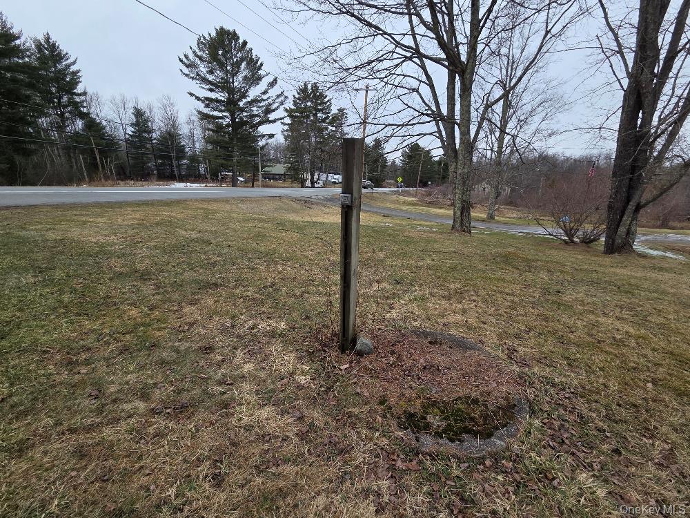 #6 photo, TBD State Route 52, White Sulphur Spring , NY 12787