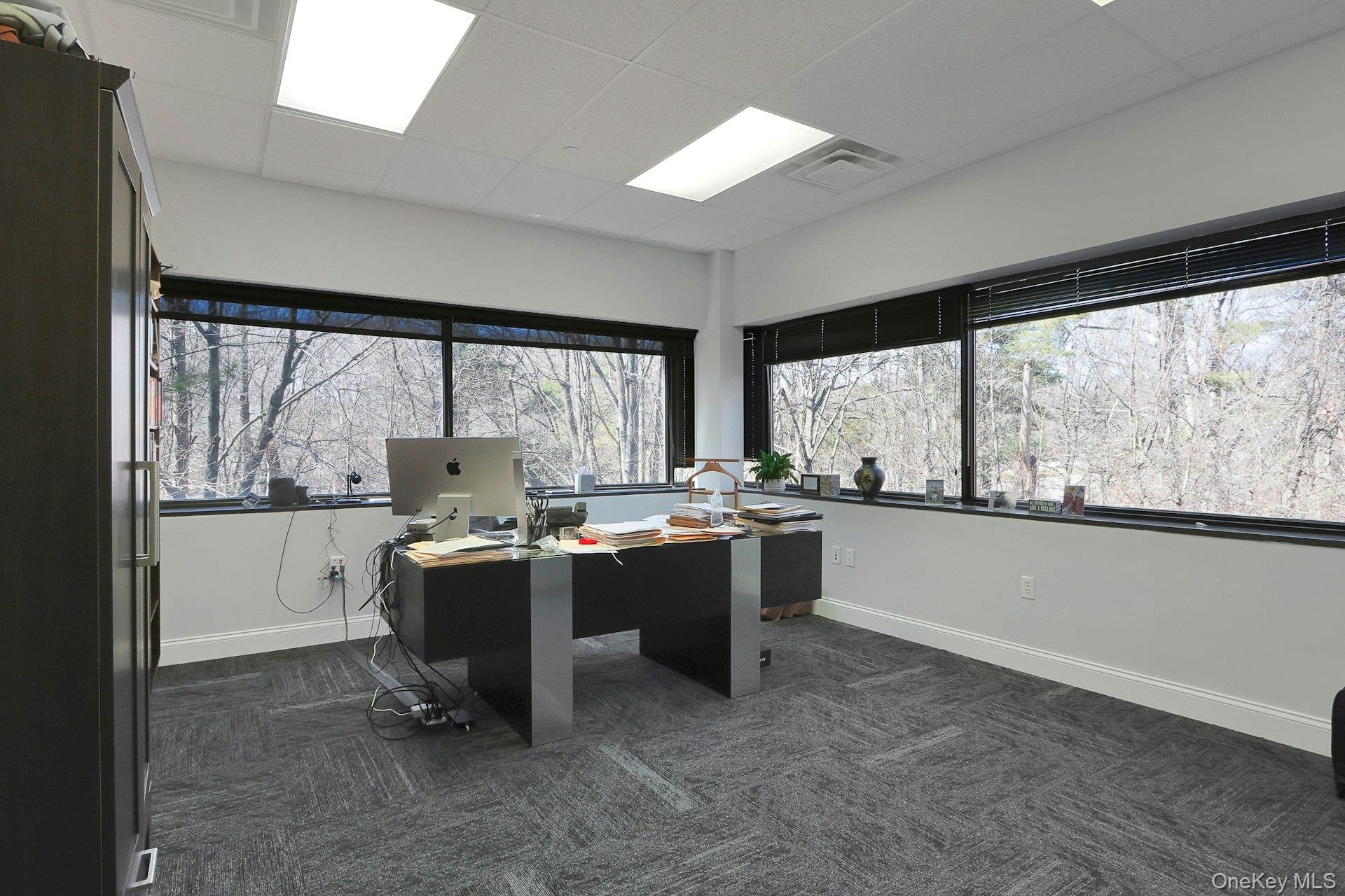 #17 photo, 100 Dutch Hill Road, Orangeburg , NY 10962