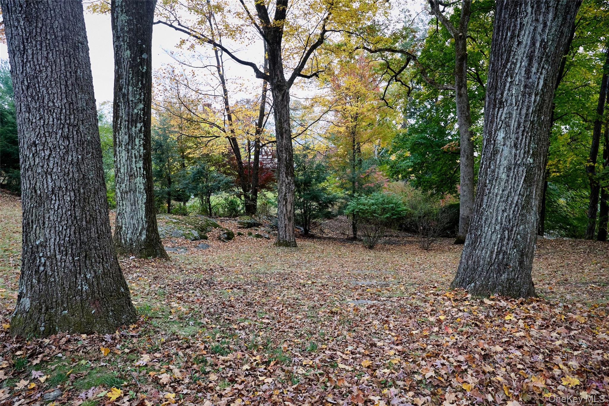 #6 photo, 72 Lookout Road, Tuxedo Park , NY 10987