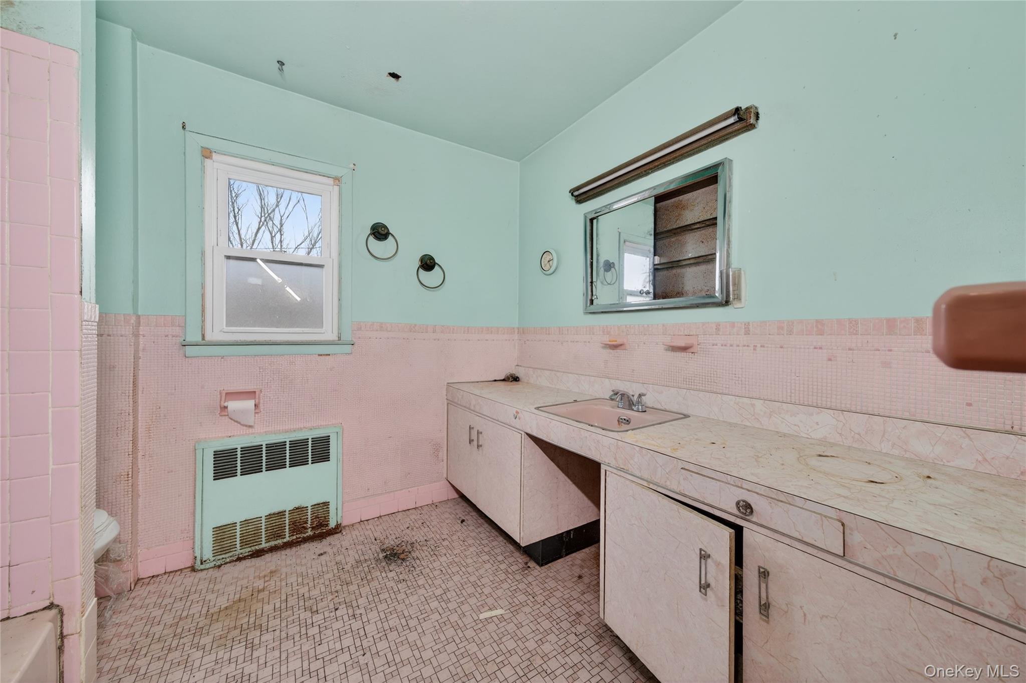 #15 photo, 19 Angevine Avenue, নাসাউ কাউন্টি Hempstead , NY 11550