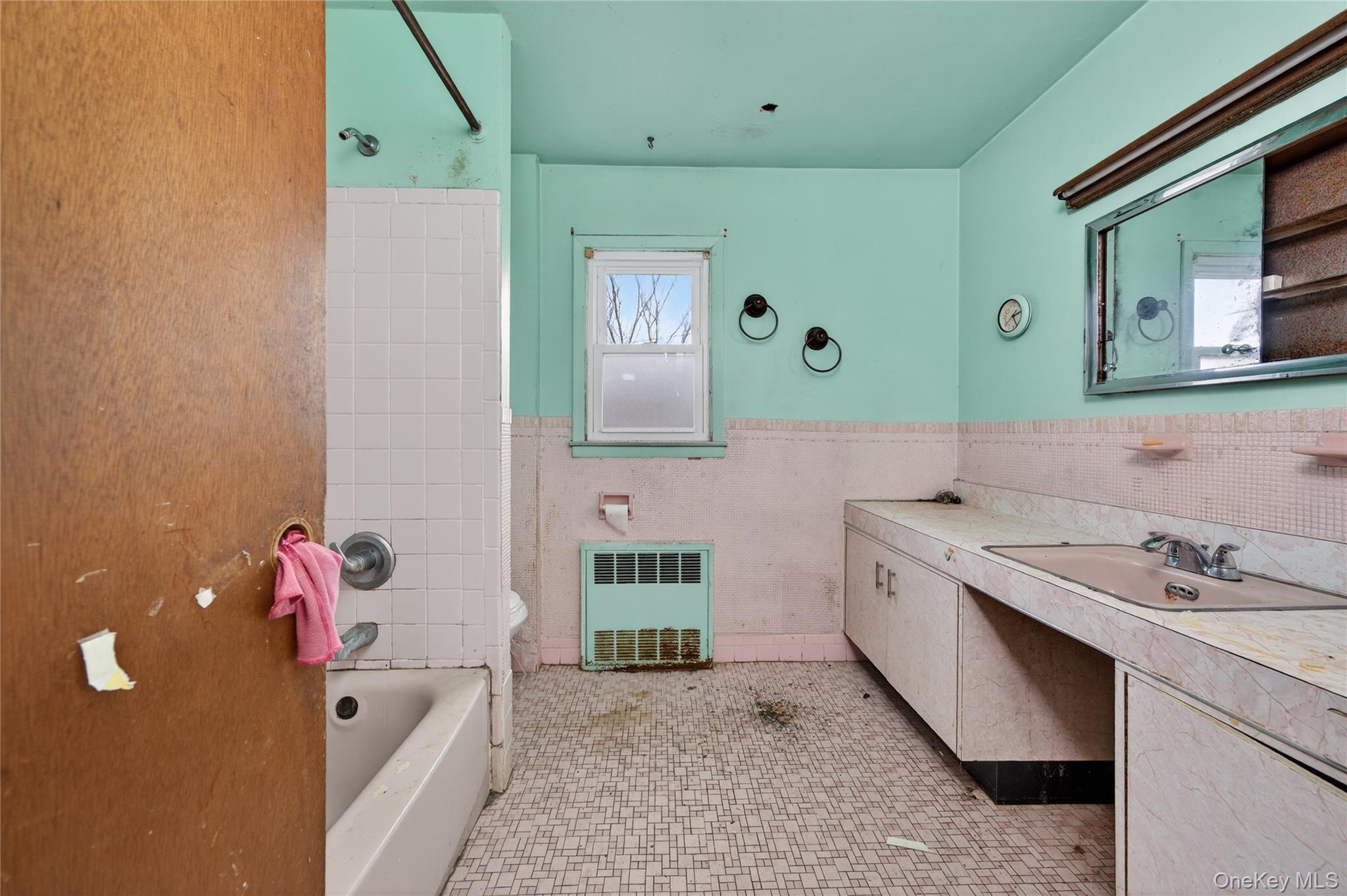 #16 photo, 19 Angevine Avenue, নাসাউ কাউন্টি Hempstead , NY 11550