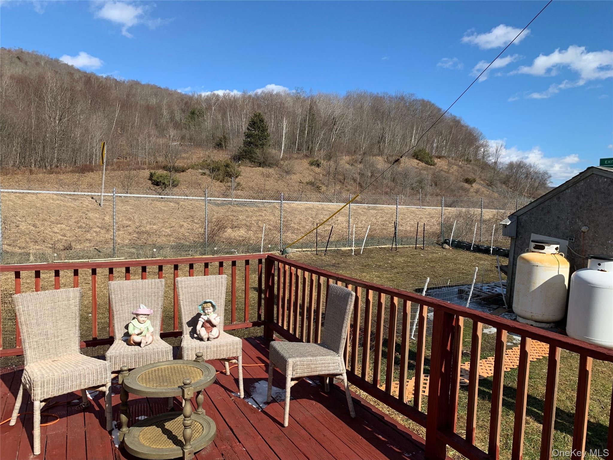 #19 photo, 15259 County Highway 17, Roscoe , NY 12776