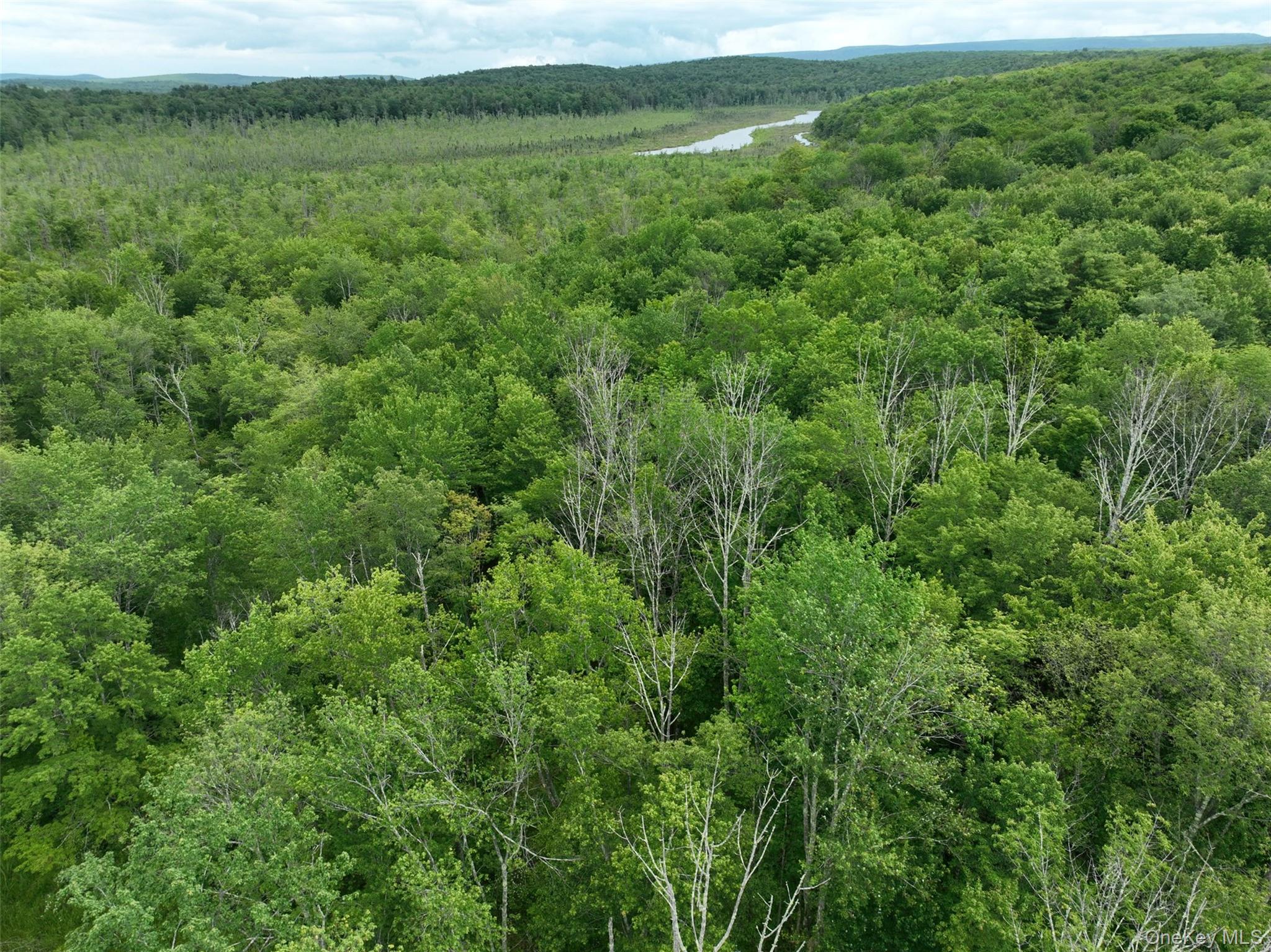 #2 photo, 37 Cranberry Road, Greenfield Park , NY 12435