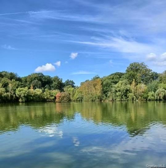 #9 photo, 4618 161st Street, Flushing , NY 11358