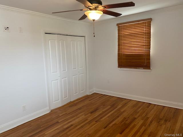 #8 photo, 255-36 74th Avenue, Glen Oaks , NY 11004