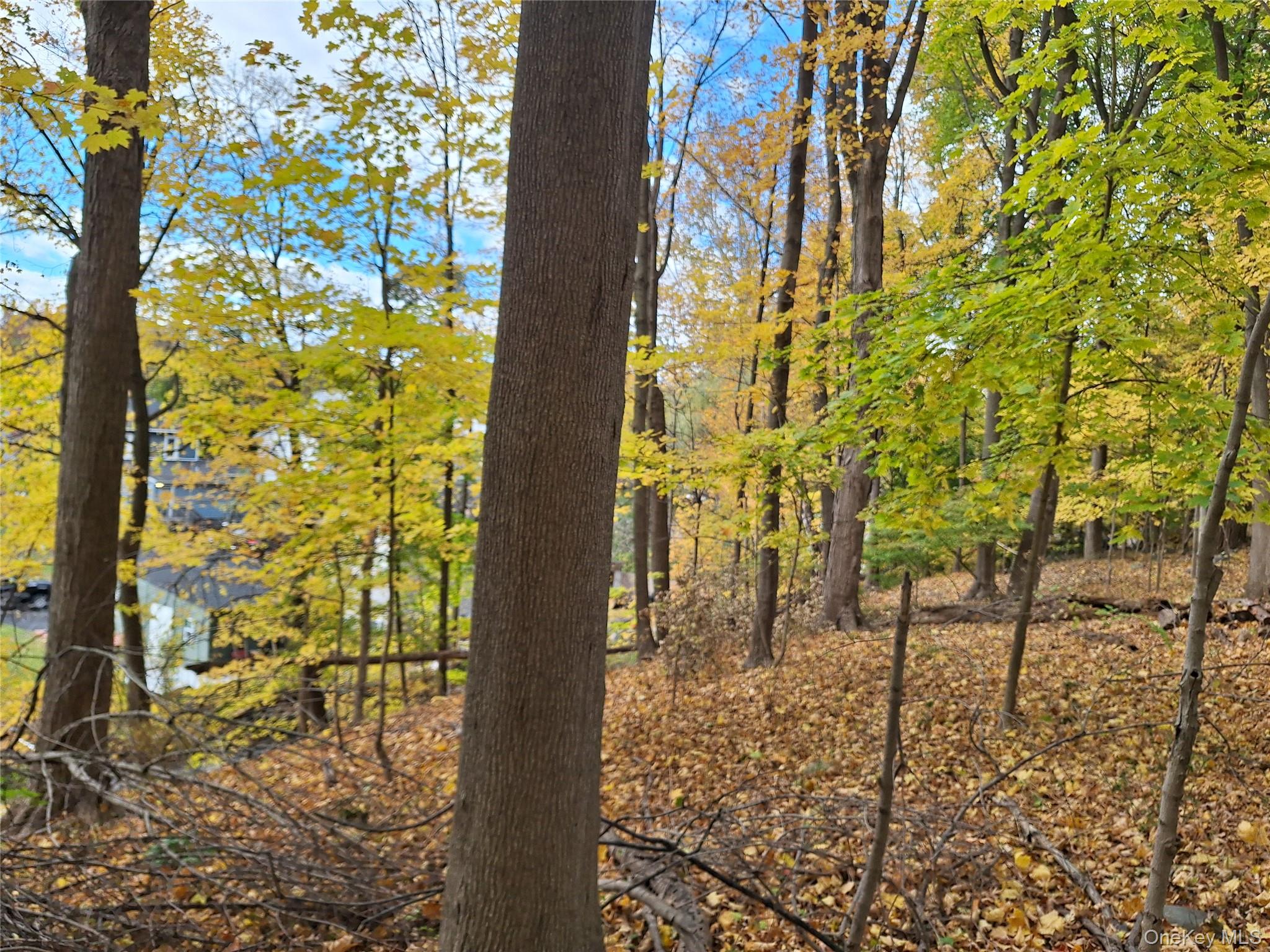 #10 photo, 1 wright Street, Newburgh , NY 12550