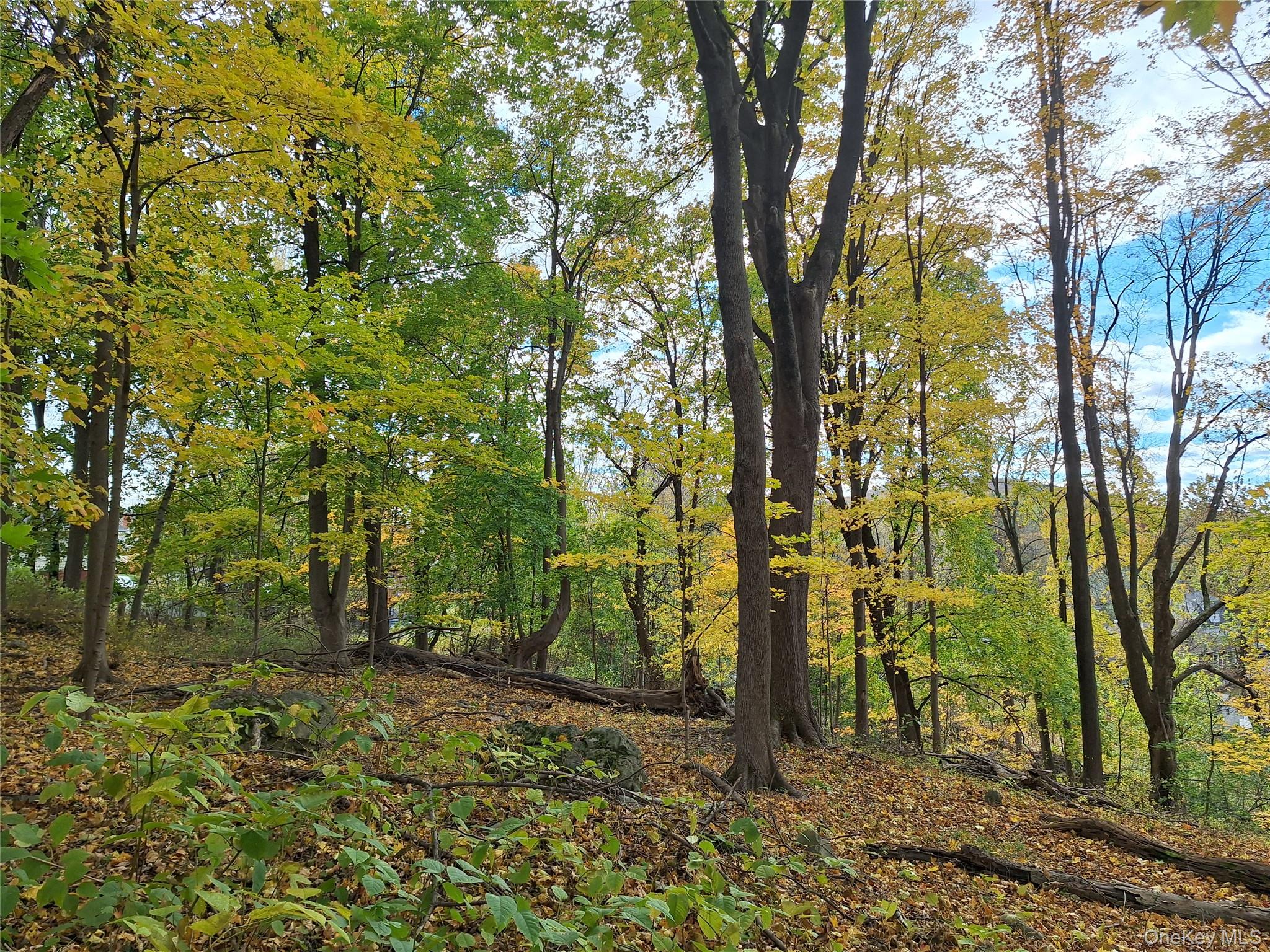 #3 photo, 1 wright Street, Newburgh , NY 12550