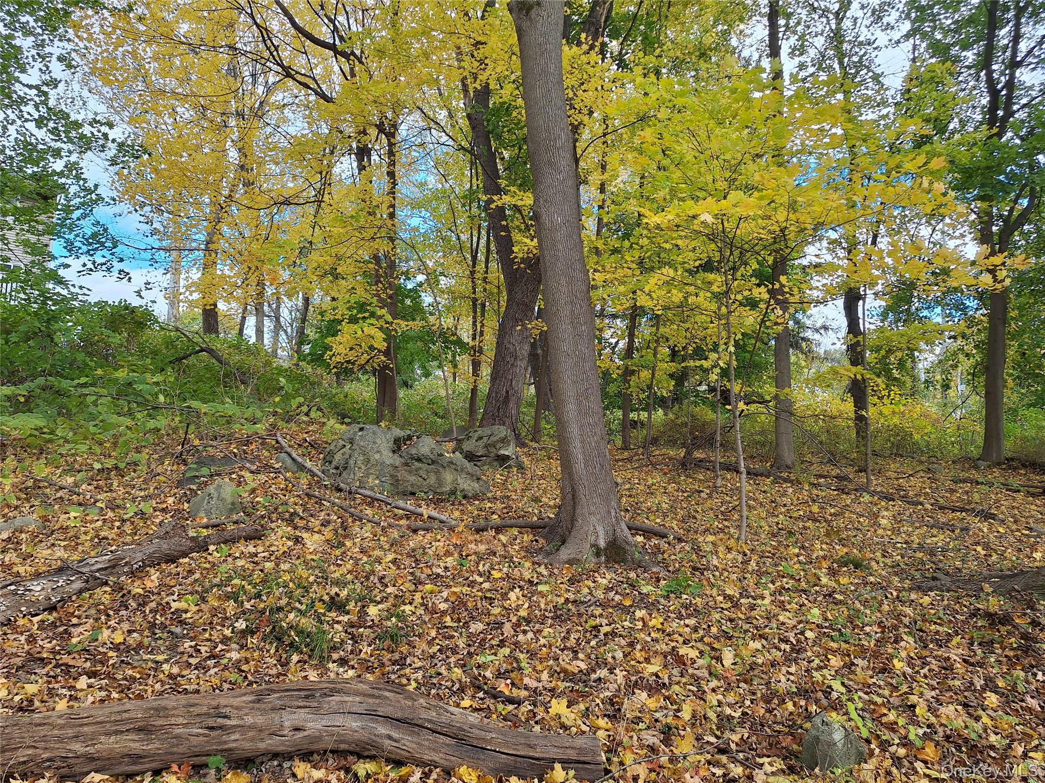 #8 photo, 1 wright Street, Newburgh , NY 12550