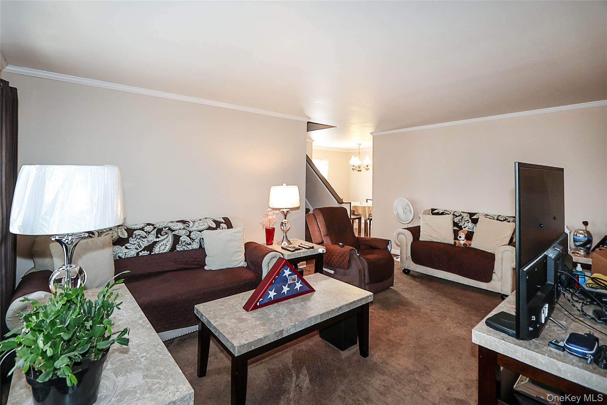 #5 photo, 11 Elton Street, নাসাউ কাউন্টি Westbury , NY 11590