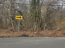 VL(36) Mastic Boulevard 东长岛 Mastic, NY