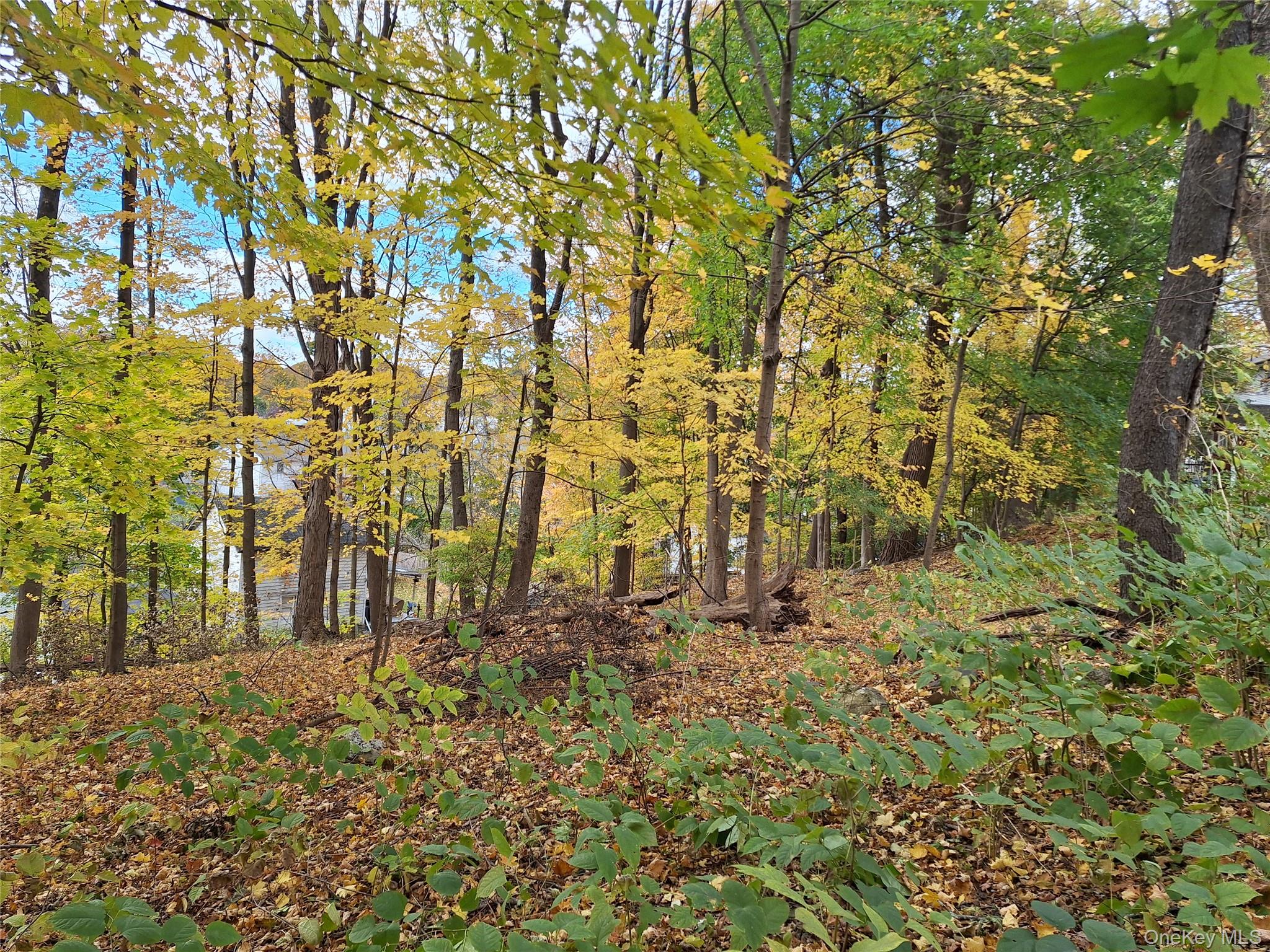 #2 photo, 2 wright Street, Newburgh , NY 12550