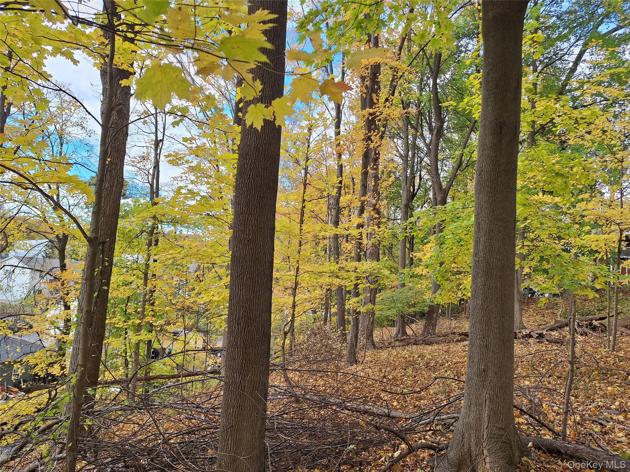 #9 photo, 2 wright Street, Newburgh , NY 12550