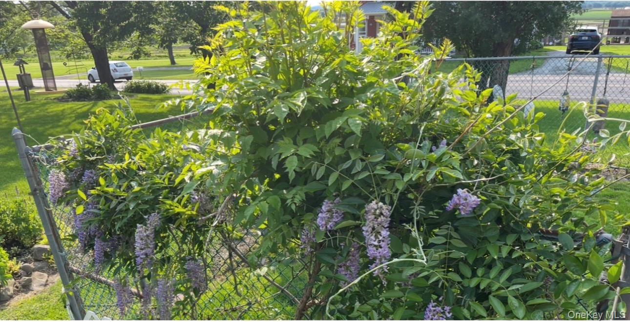 #16 photo, 778 Pulaski Highway, Goshen , NY 10924