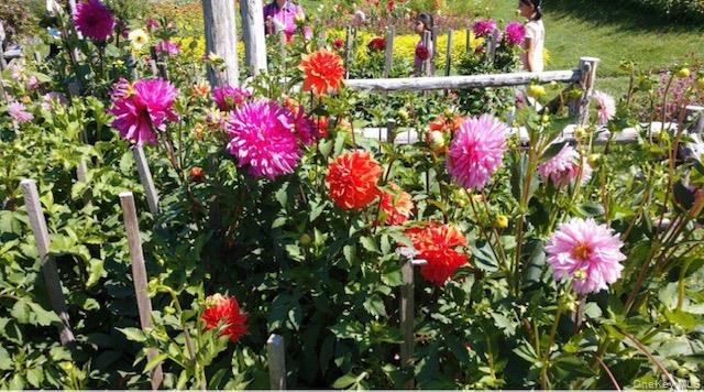 #17 photo, 778 Pulaski Highway, Goshen , NY 10924