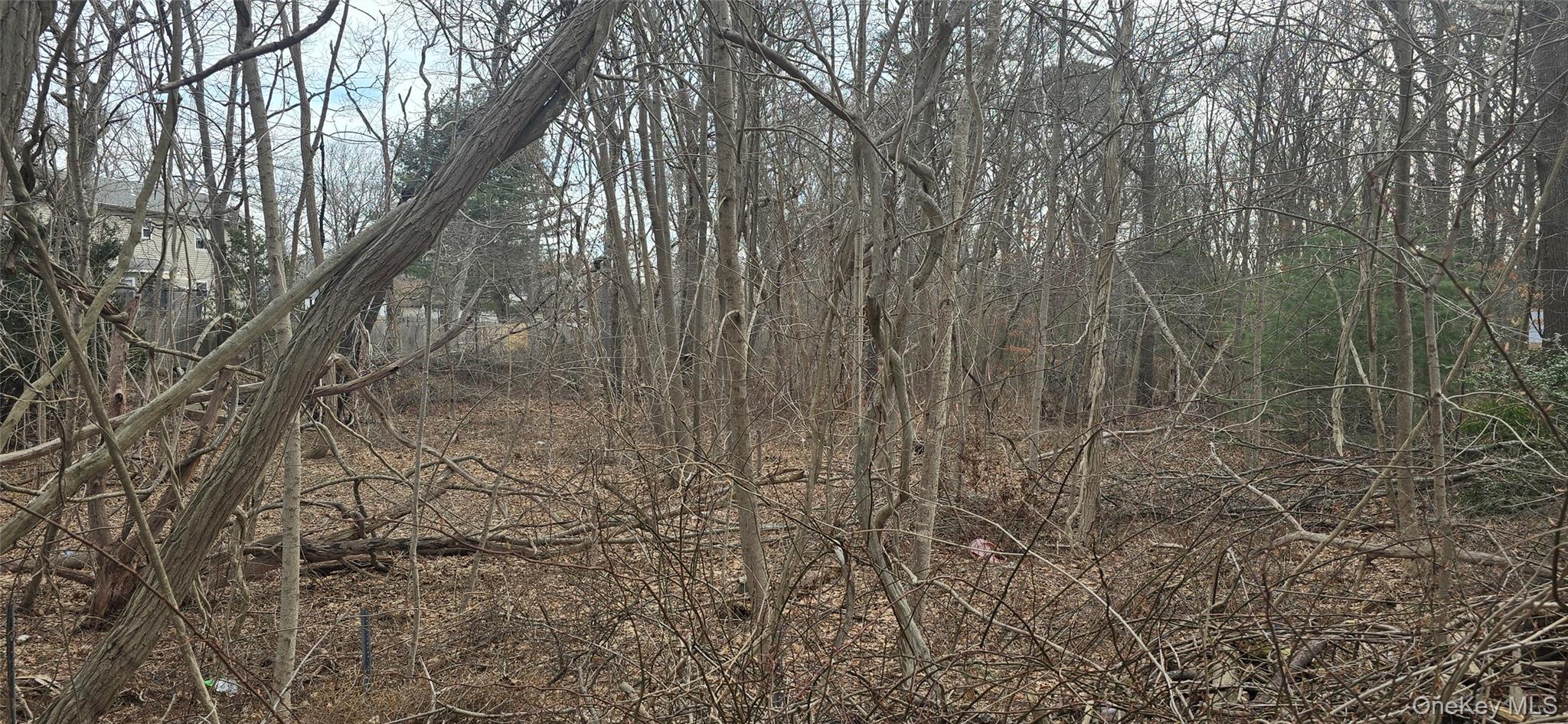 #8 photo, VL(2) Bedford Avenue, Саффолк ‖ Mastic , NY 11950