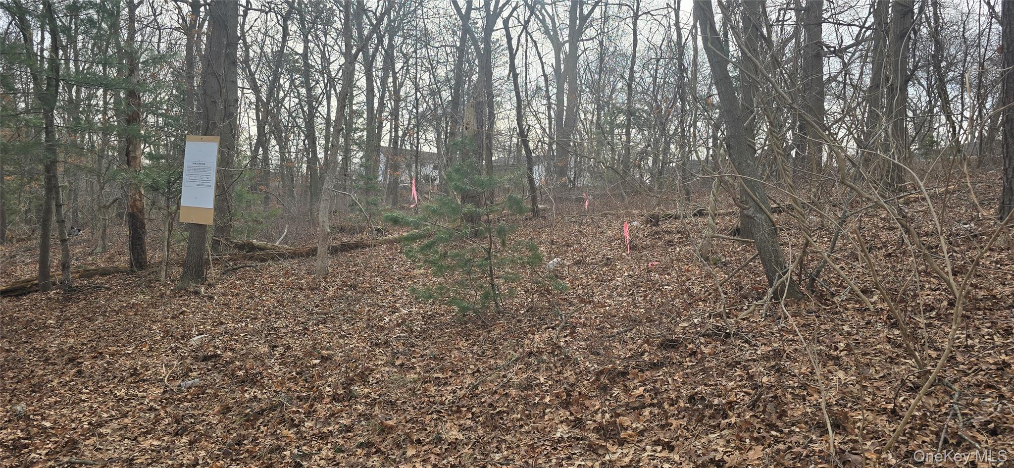 #2 photo, VL(1) Bedford Avenue, सफ़ोक काउंटी Mastic , NY 11950