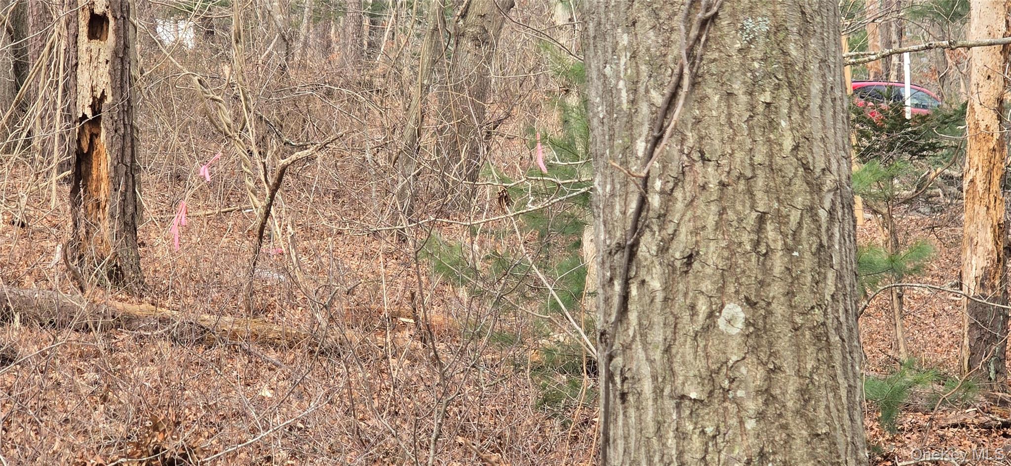 #5 photo, VL(1) Bedford Avenue, सफ़ोक काउंटी Mastic , NY 11950