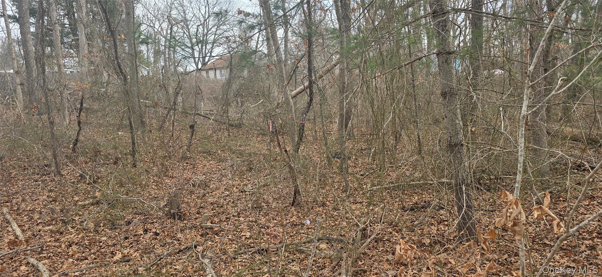 #7 photo, VL(1) Bedford Avenue, सफ़ोक काउंटी Mastic , NY 11950