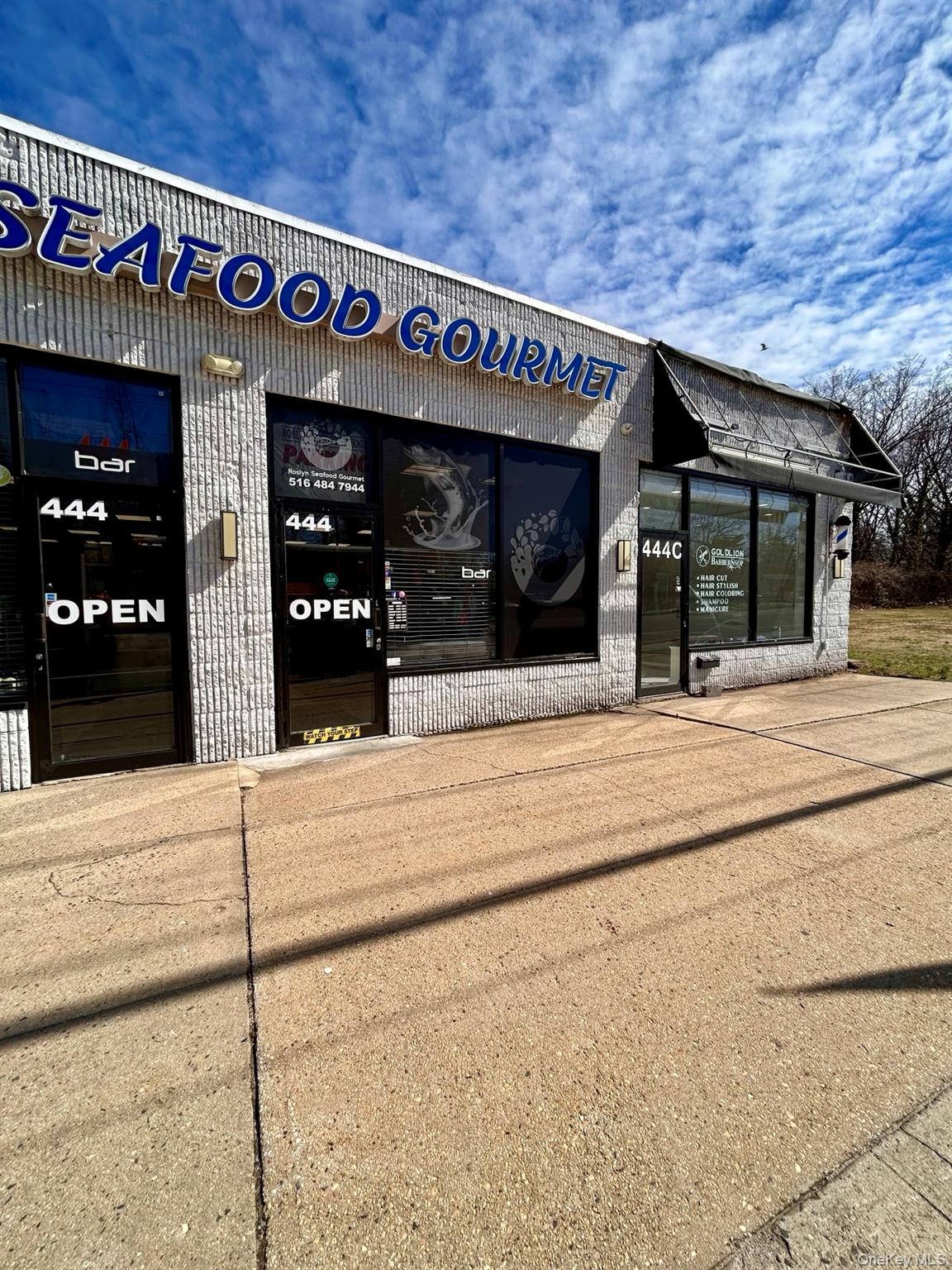 #3 photo, 444 Willis Avenue, নাসাউ কাউন্টি Roslyn , NY 11577