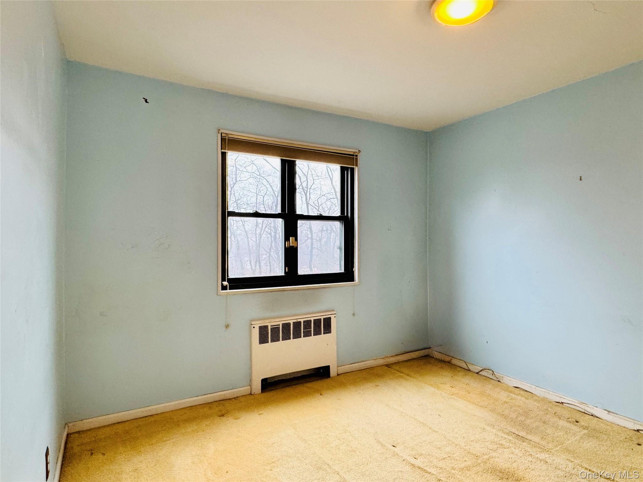 #11 photo, 57-41 246TH Crescent, Douglaston , NY 11362