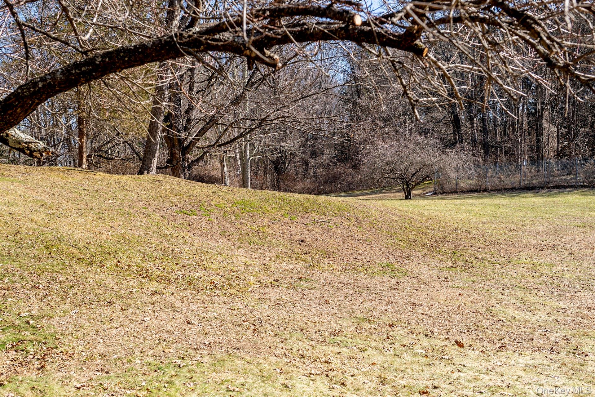 #8 photo, 4388 Route 82, Millbrook , NY 12545