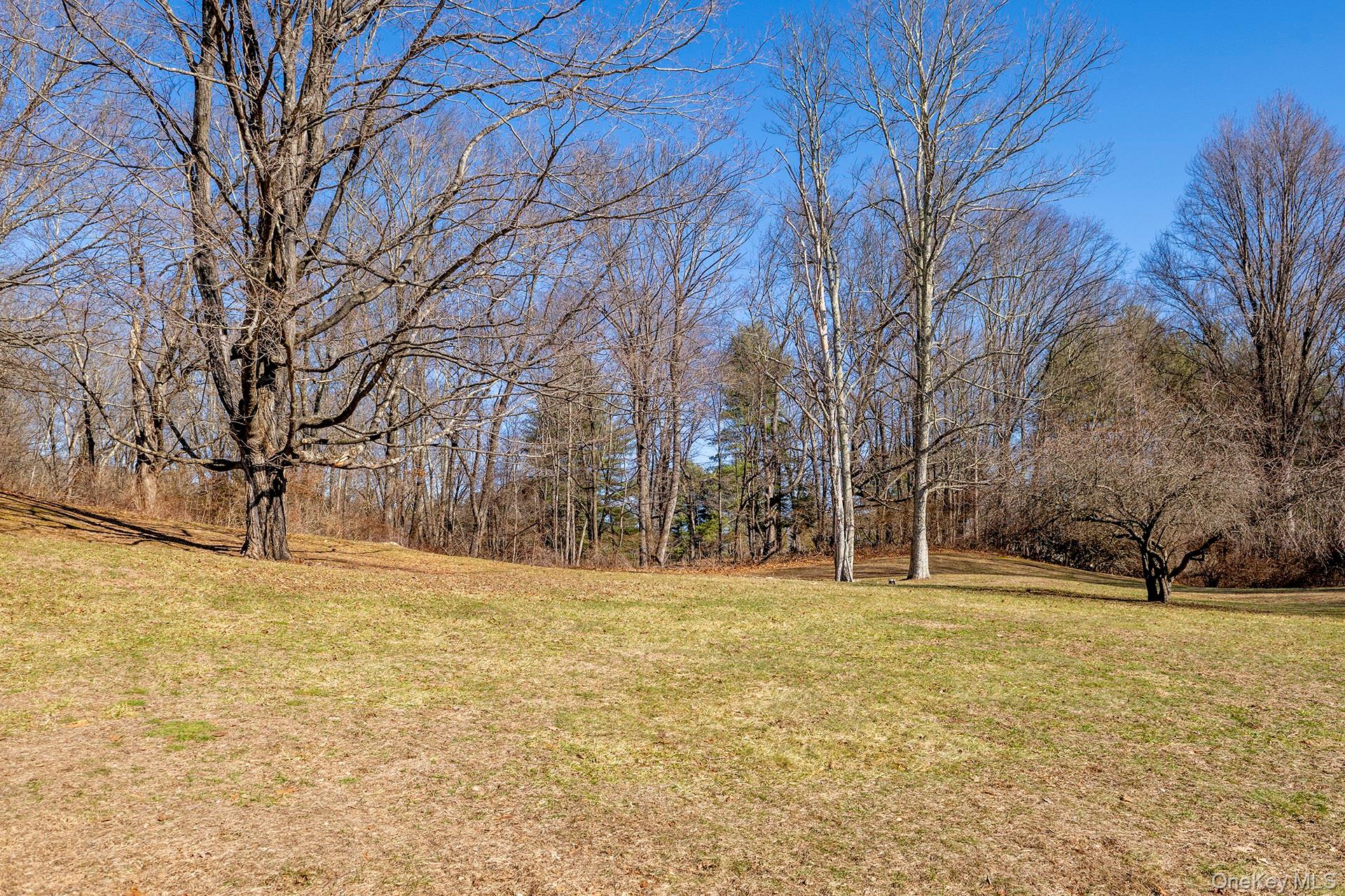 #9 photo, 4388 Route 82, Millbrook , NY 12545