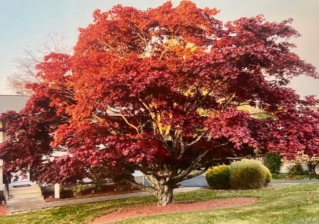 #4 photo, 3223 Court Street, Yorktown Heights , NY 10598