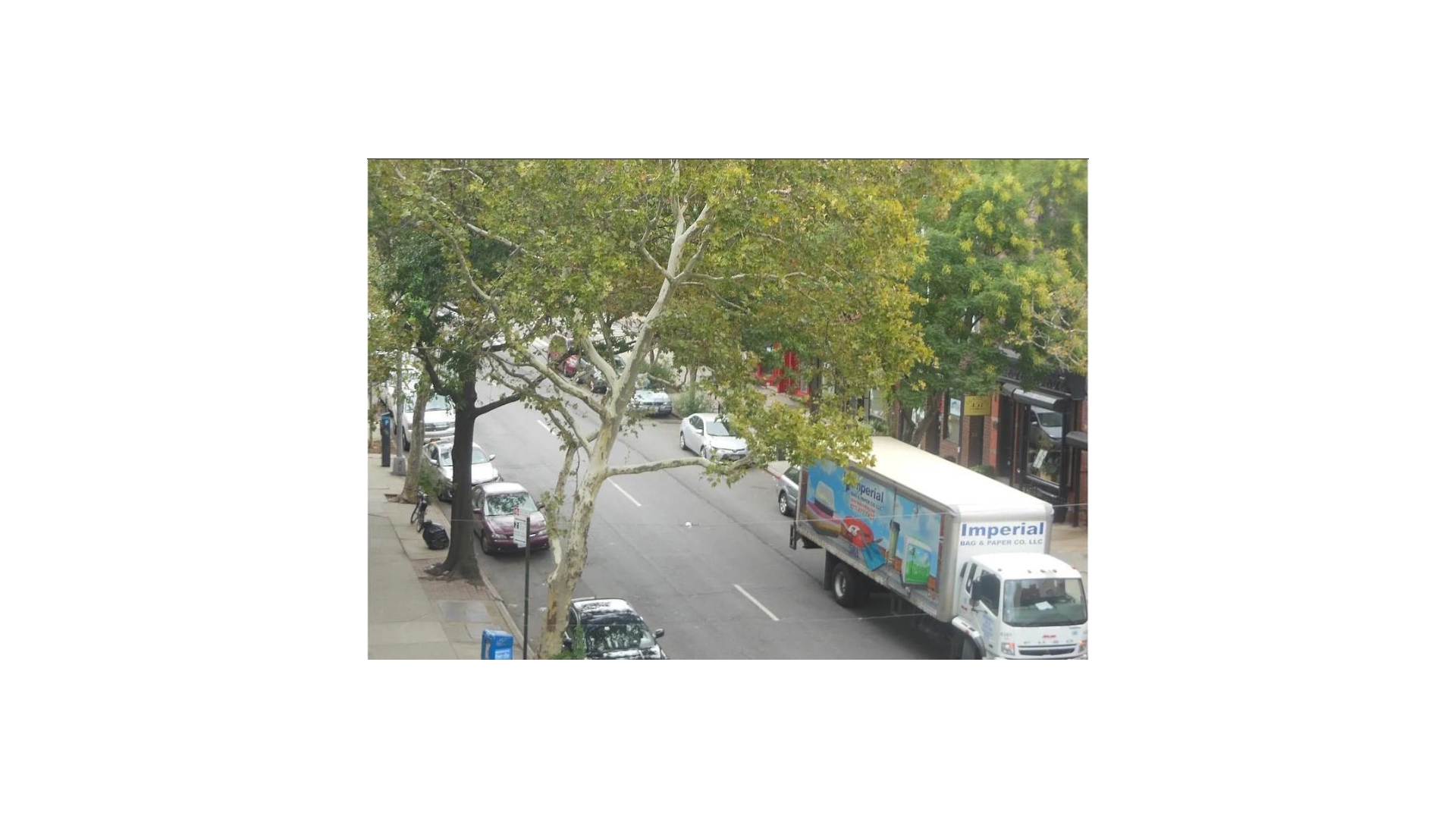 #9 photo, 490 COURT Street, Carroll Gardens , NY 11231