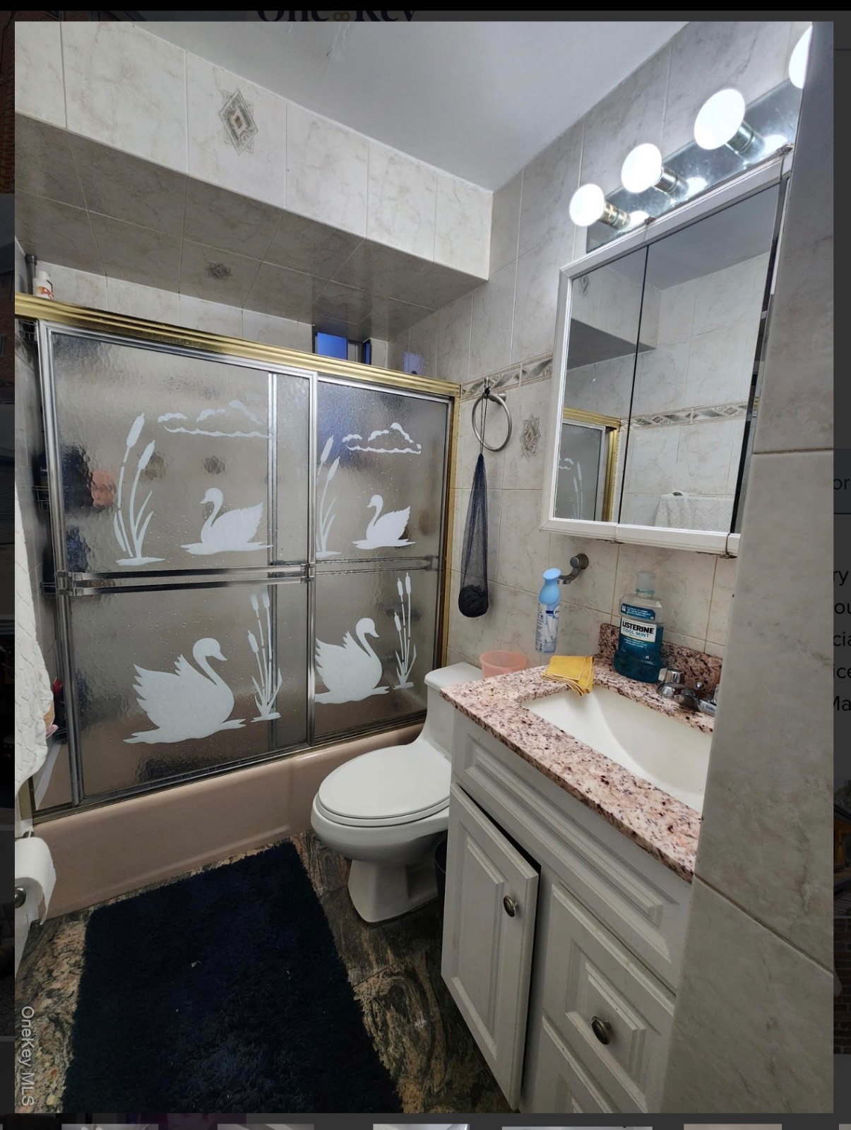 #9 photo, 5949 56th Dr, কুইন্‌স Maspeth , NY 11378